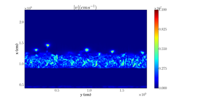 Carbon shell velocity magnitude snapshot
